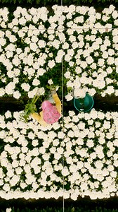 33 reactions | We're blooming with love for Mom! Order a beautifully hand-crafted arrangement with the freshest flowers. Order now for delivery just in time for Mother's Day! #MyHarmons #Utah | Harmons Grocery Stores | Facebook