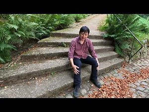 Anleitungsclips zur Entspannung 🧘: Autogenes Training/Autogenic Training - Einführung