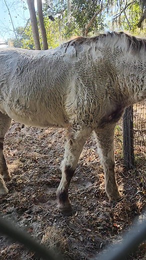 15K views · 193 reactions | Update: we will be making contact with...