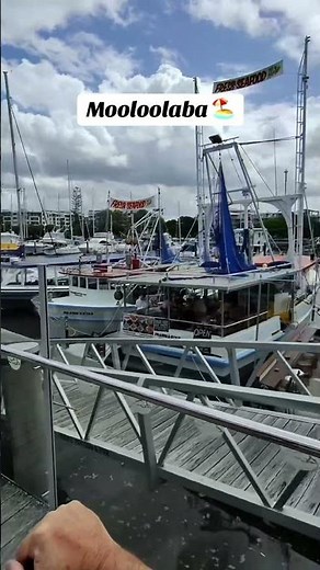 Waterfront Dining - The Wharf Mooloolaba Sunshine Coast