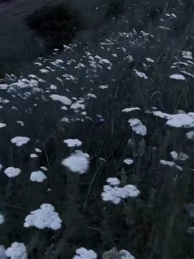 #love #lovecore #aesthetic