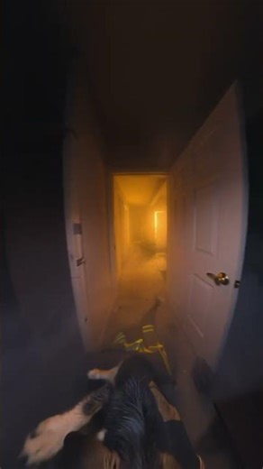 One Tiny Bark Led the Firefighter Deeper Into the Smoke! #shorts