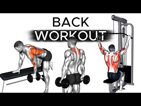 Top 10 Best BACK Exercises to do at GYM!
