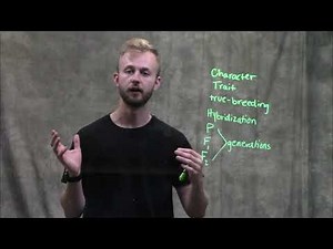 Mendel's Experiment and General Terms