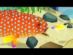 Building a Carnivorous Fish Aquarium - Megaquarium Gameplay