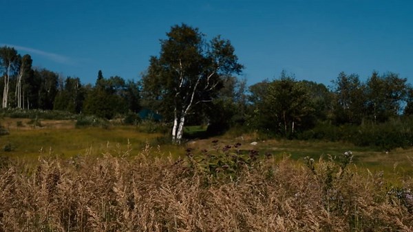 Quebec Road Trip Part 3 - Up Stream - Part 2 Of 2