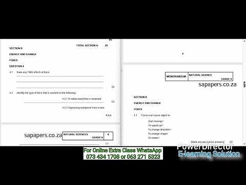 Grade 9 Natural Sciences Term 3 Test Paper of 2025