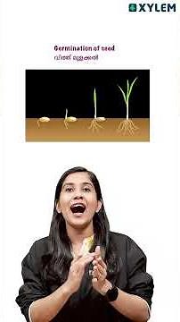 ഒരു Important ചോദ്യം പഠിച്ചാലോ? | Xylem Class 5