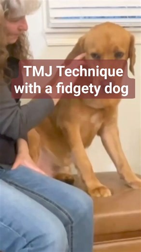 4.9K views · 55 reactions | Here's our Read and Release instructor...