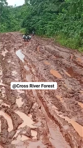 We the try | Cross River Forest