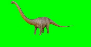 Dinosaur, Dino, Prehistoric. Free Stock Video
