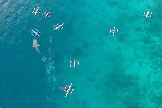 30 Scary Ocean Facts More Terrifying Than Anything in Outer Space — Best Life