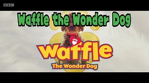 Waffle the Wonder Dog 神奇华夫狗 真人家庭情景剧学英语 1-4季全66集