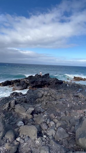 14K views · 158 reactions | What step would you like to apply in your life? - 囹ElinaDanilova.com - #salsa #dance #tutorial #behappy #elinadanilova #wellnessprofessional #wellness | Elina Danilova | Facebook