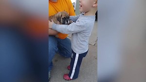 59K views · 981 reactions | Puppy surprise brings boy to tears | Funny Dog Videos | Facebook