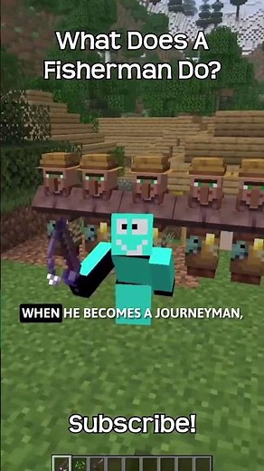 What Does A Fisherman Do In Minecraft?!
