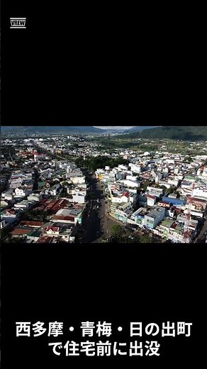 【衝撃】東京にクマが侵入中！2025年最新出没マップ＆住民の恐怖声・即実践対策完全解説