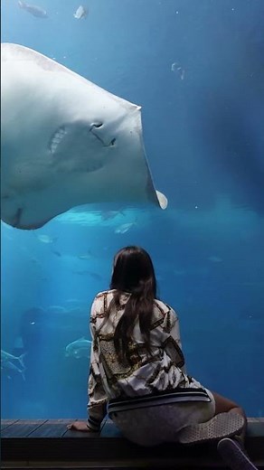 Top 5 Luxury Hotels in Sentosa Island you need to see!