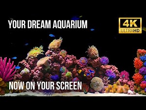 🐠🌌 Peaceful 4K Aquarium Ambience | 12 Hours of Gentle Bubbles, Coral Reef & Colorful Fish