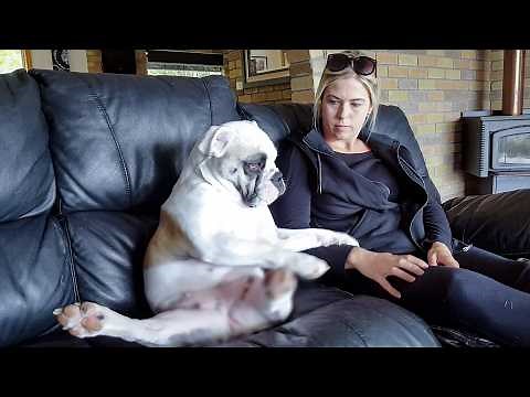 Best Feel-Good Moments to Brighten Your Day