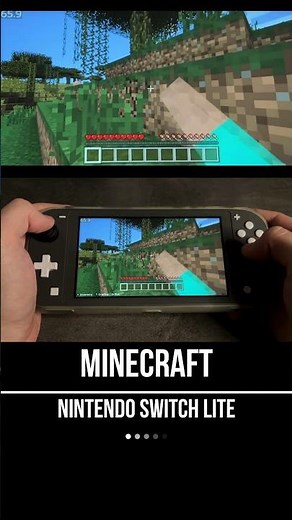 Minecraft Nintendo Switch Lite Gameplay - FPS Monitor