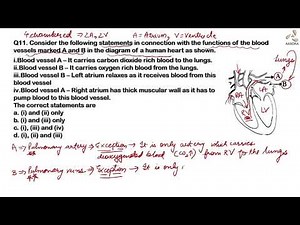 CBSE Board Paper (Basic) Term-1_SET-4 | Biology-10 | Q11