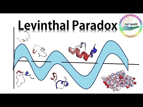 Levinthal Paradox