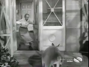 The Beverly Hillbillies Season 2 Episode 16