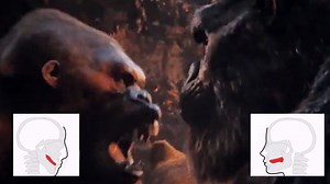 King Kong Punching a Gorilla GIF / Kong Mewing | Know Your Meme