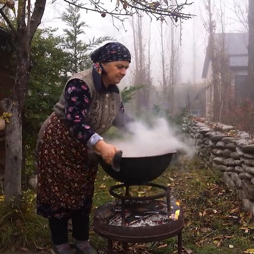 14K views · 435 reactions | Pet Family on Reels | Facebook