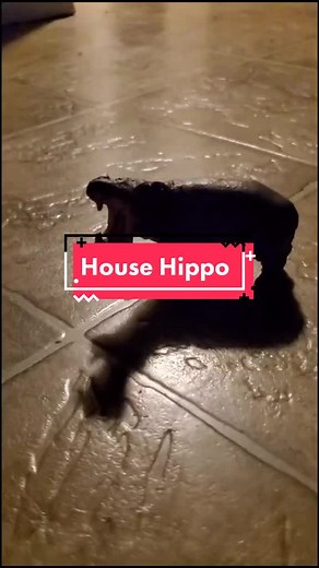 Madison Elle-Marie S on TikTok