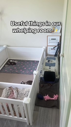 Useful Things for Your Whelping Room
