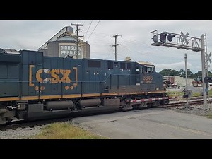 L252 Passes Birdsong Peanuts