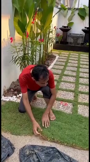 10K views · 70 reactions | Mini garden in the making | Garden Design Ideas | Facebook