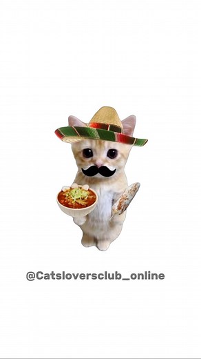 😻Cat lovers club😻 | Try catch Mexican elgato😼 #elgato #catlover #reels #gatos | Instagram