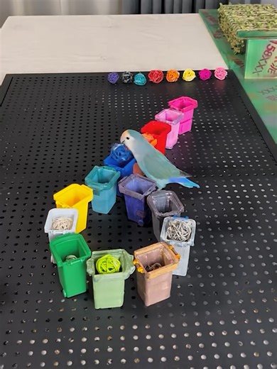 9.3M views · 208K reactions | Smart parrot that knows colors | Simple ideas | Facebook