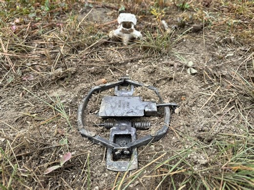 90K views · 1.4K reactions | #montanawolftrapper #coyotetrapper #offgridlifestyle #mountainmen #offgrid #predatormanagement #historychannel #montanalife Funke Trap Tags & Supplies Duke Traps NightHawk Pro Gear Spy High Mounting System | Paul Antczak | Facebook