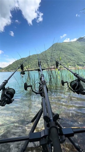 Lago di Endine is magic #fishing #carpfishing #carpfishingendine #fish #carp