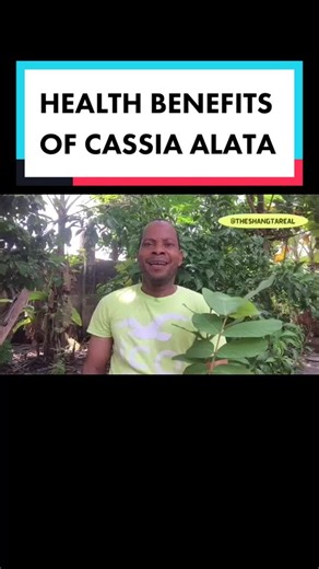 Discover the Amazing Health Benefits of Cassia Alata