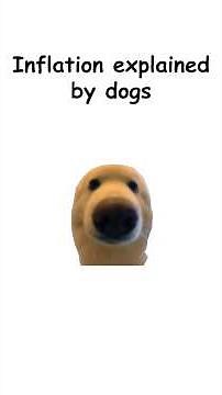Doggie explains Inflation! #dogs #fyp #economics #inflation
