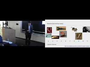 Videos, Physics | AS | NYU