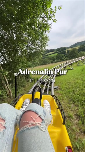 Erlebnishöhe Wald-Michelbach: Adrenalin und Natur erleben