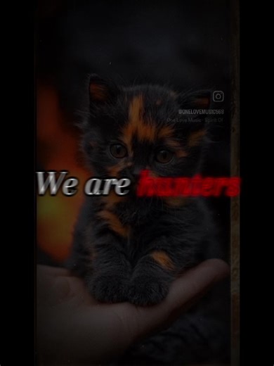 Spirit of the Wolf “If you love wolves, this song is for you” “This song was made for wolf lovers 🐺 ” Ahoooohhhhhh 🐺🐺🐺 #WolfTok #WolfSong #SpiritAnimal #IndieMusic #NewMusic