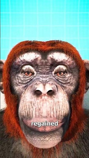 Monkey Head Transplant.