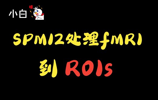 SPM12处理fMRI到ROIs