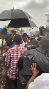 🎥Kinshasa [29/03/2025] : Constant Mutamba akutani na Petit Constant Mutamba. #KabaLisolo | Kaba Lisolo