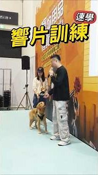 想與毛孩學響片？現場示範一定要看！｜熊爸估狗 #狗 #犬 #狗訓練師 #dogs 訓犬師 #散步 #犬 #遛狗 #暴衝 #狗狗暴衝 #響片 #寵物 #響片訓練