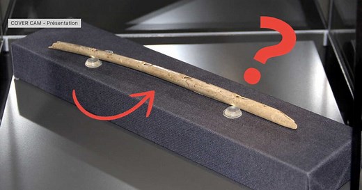 Quel est le premier instrument de musique de l’histoire ?