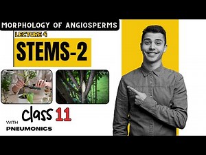 Morphology of Angiosperms: Stem (Part 2) | Lecture 4 | Class 11 | Easy Explanation with Mnemonics