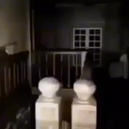 #alienstage #alnst #mizisua #ivantill #ivan #till #mizi #sua #hyuluka #hyuna #luka #vivinos #alienstagevivinos #fyppppppppppppppppppppppp #fypシ゚ #xyzbca #rulerofmyheart #romh